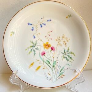 Bavaria Schirnding porcelain Lakewood vintage floral plate US Zone Germany
